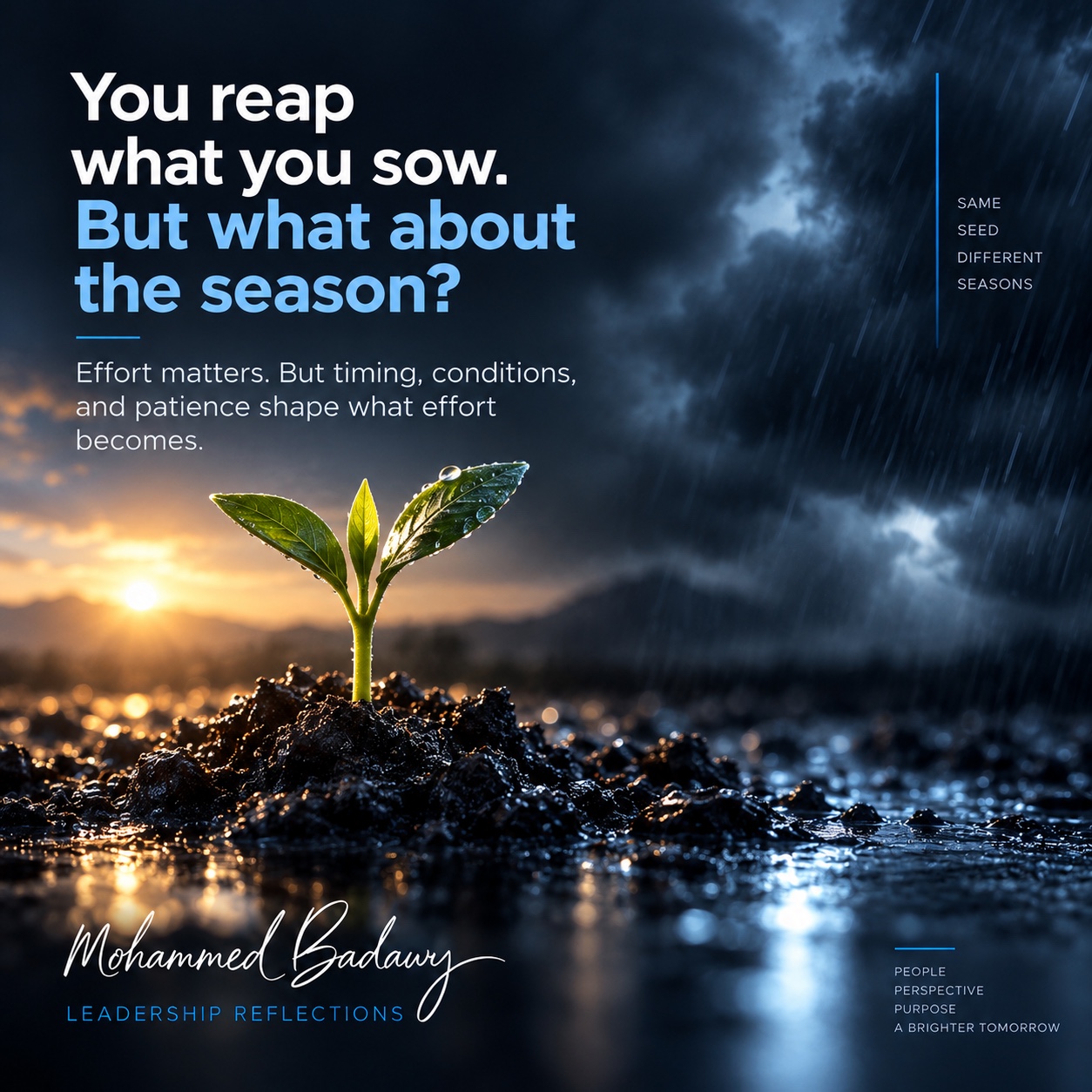 A seedling between sunshine and rain — Leadership Reflections by Mohammed Badawy